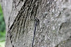 Ashima FFX-F 12ft 1,50lb -Fishing Verkoop 005d0d6366159e5f