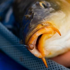 Fjuka Natural 2in1 200gram 7 Fjuka Natural 2in1 200gram -Fishing Verkoop 173e3a2163a6a35f