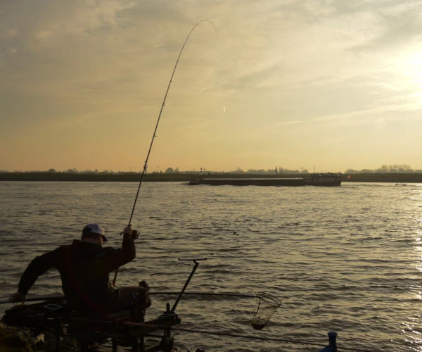 Cresta Identity Pro Tolerance Feeder 360 2 Cresta Identity Pro Tolerance Feeder 360 - Afbeelding 2