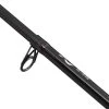 Berkley Cherrywood Spezi Eel Telescopische Hengel 2.70m (30-60g)