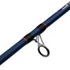 Mitchell Rod Riptide R 212 100/300 Dorade