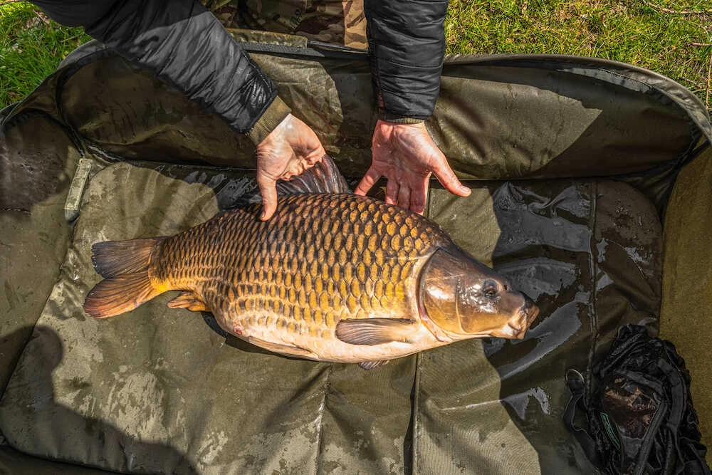 Korum Supa Lite Fast Mat XL Onthaakmat 2 Korum Supa Lite Fast Mat XL Onthaakmat - Afbeelding 2