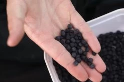 Fjuka 2in1 10mm Black 5 Fjuka 2in1 10mm Black -Fishing Verkoop f97c9debf3824049